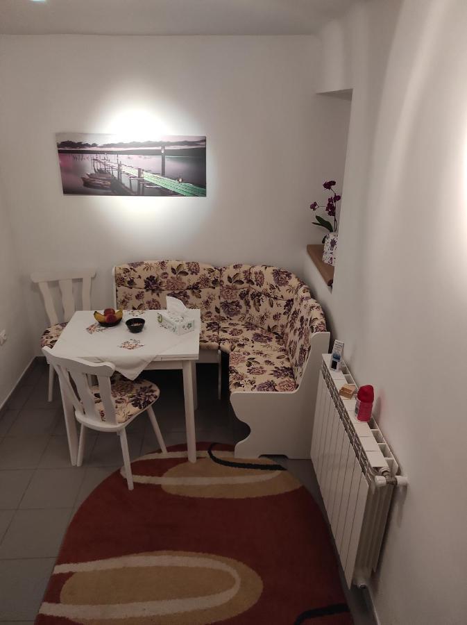 Garsoniera Cocheta Zona Coresi Mall ブラショフ エクステリア 写真